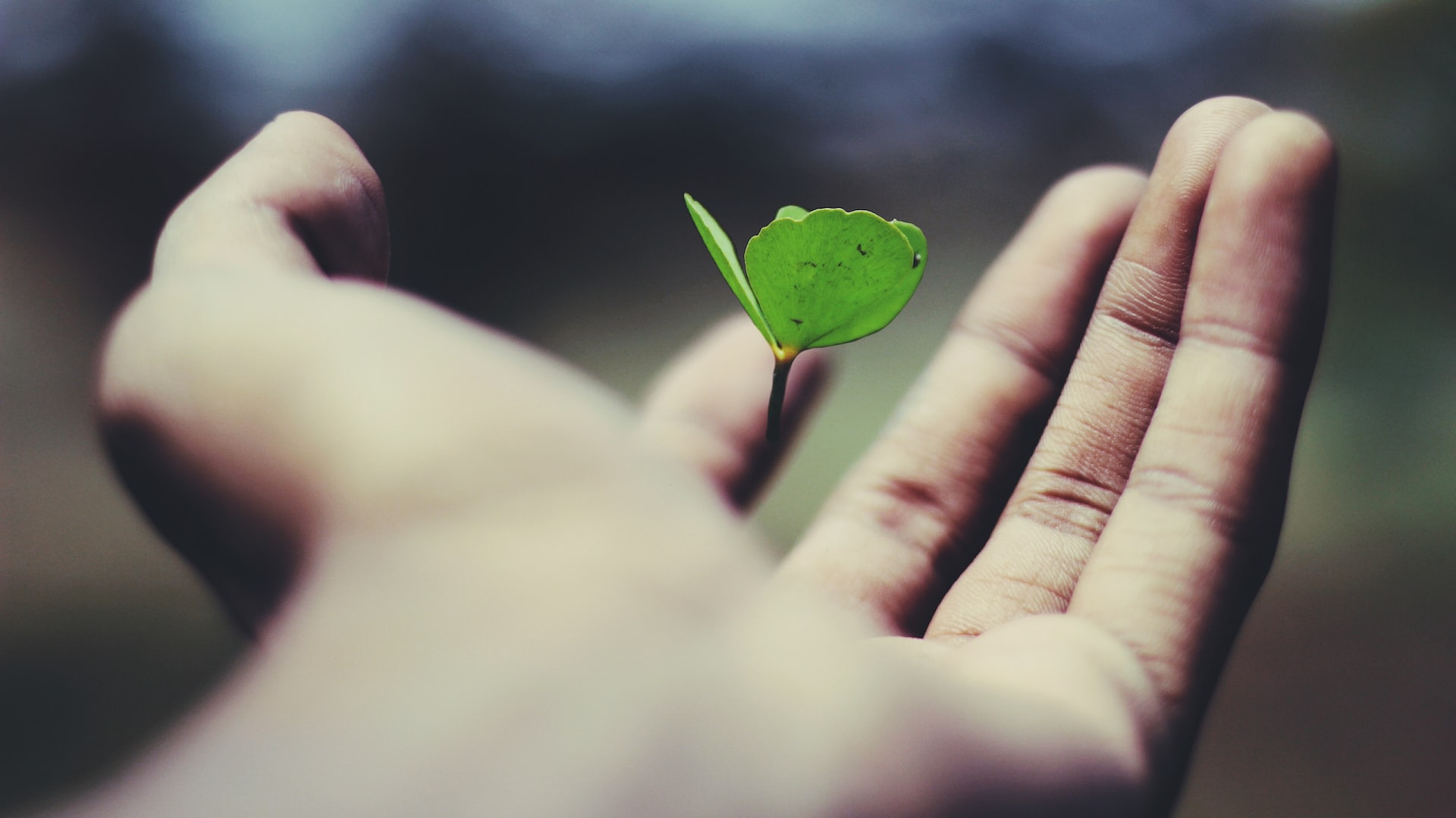 name  gravity  AdUs32i0jc unsplash - Protecting Your Family: Why Invest in Health Insurance Now?